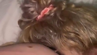My Apologies, Darling. Let Me Give You A Blowjob