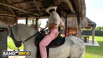Rachel Starr'S Stunning Skills In Riding A Horse And A Penis