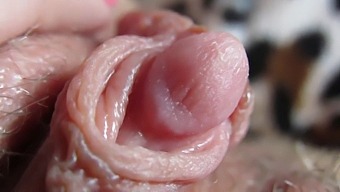 Intense Close-Up Of My Throbbing Clit Head